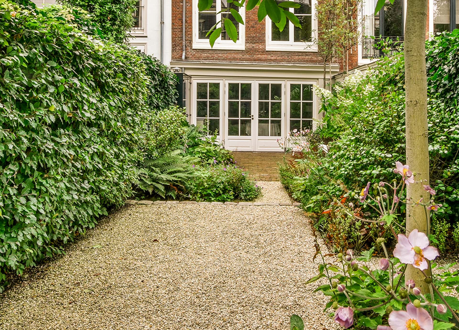 Narrow garden path framed by planting in a London garden.